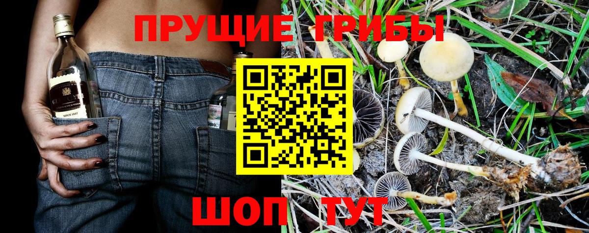 где продают наркотики  Галлюциногенные грибы мицелий  Первоуральск  Вход с VPN  Псилоцибиновые грибы MAGIC MUSHROOMS 